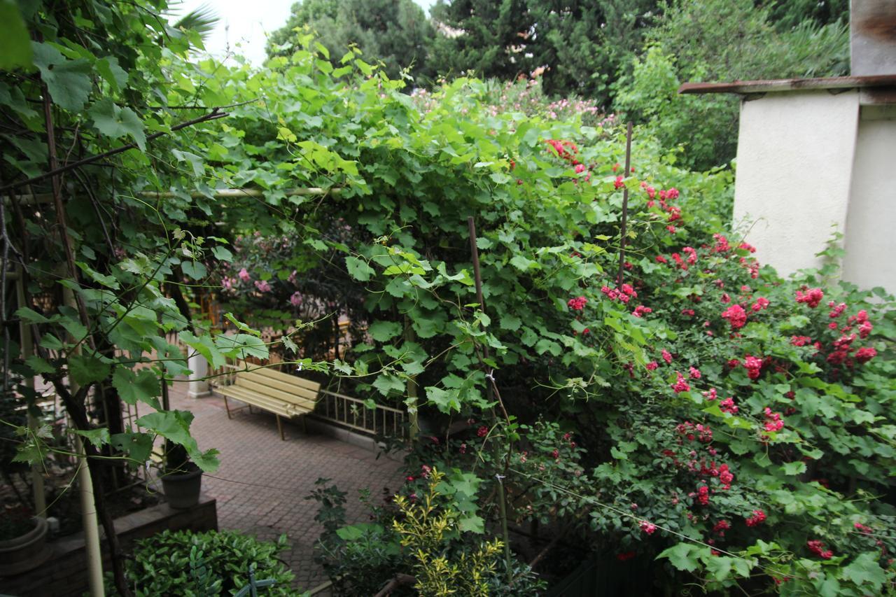 Guesthouse Different Tbilisi Bagian luar foto