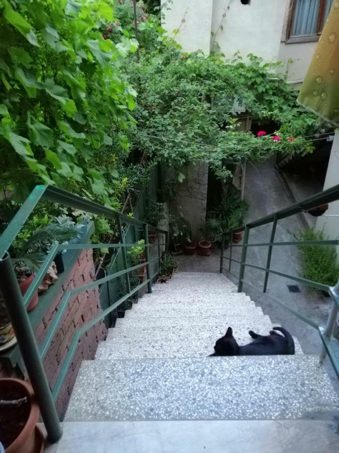 Guesthouse Different Tbilisi Bagian luar foto